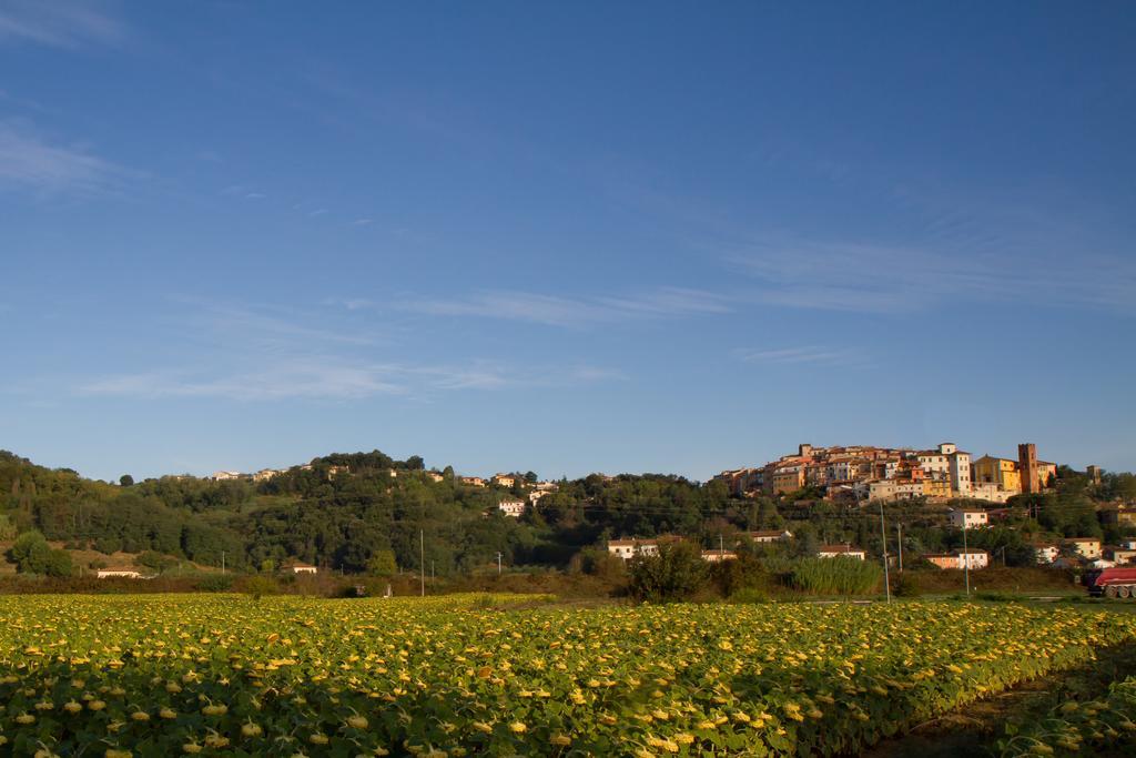 B&B Il Ramaiolo Santa Maria a Monte Exterior photo