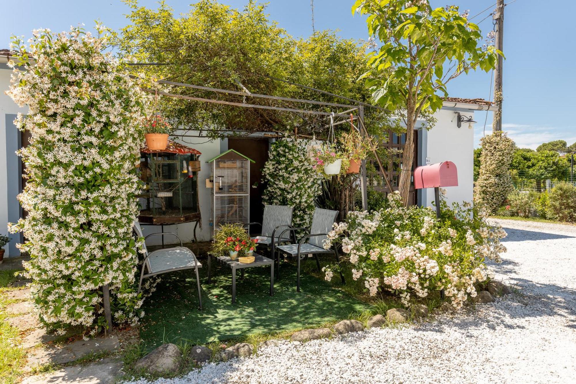 B&B Il Ramaiolo Santa Maria a Monte Exterior photo